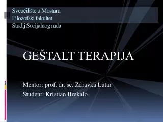 sveu ili te u mostaru filozofski fakultet studij socijalnog rada