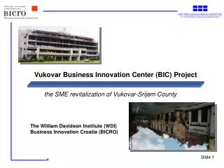 the SME revitalization of Vukovar-Srijem County