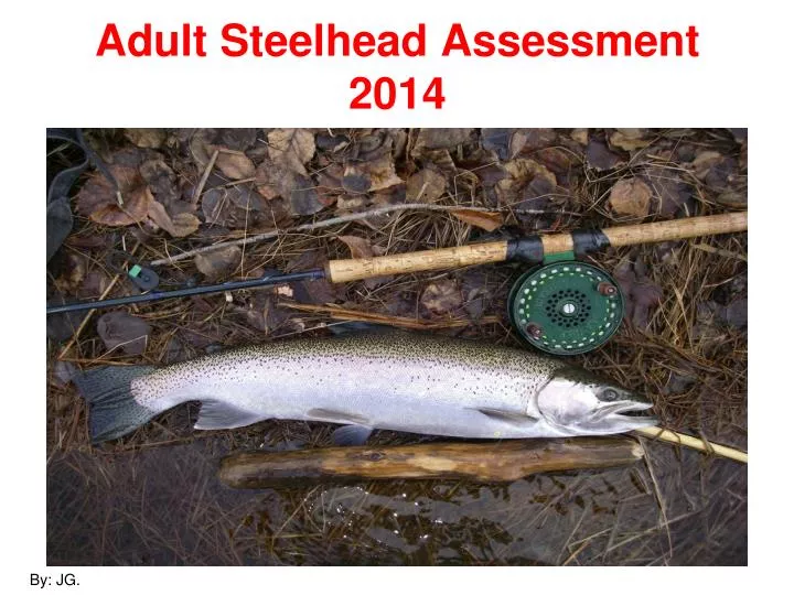 adult steelhead assessment 2014