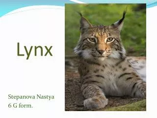 Lynx