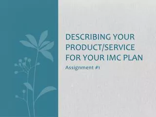 Describing Your Product/Service for your IMC Plan