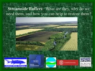 Streamside Buffers : What are they, why do we need them, and how you can help to restore them?