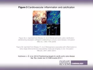 Hutcheson, J. D. et al. (2014) Potential drug targets for calcific aortic valve disease