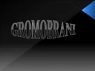 gromobrani