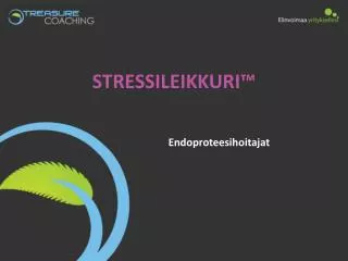 stressileikkuri