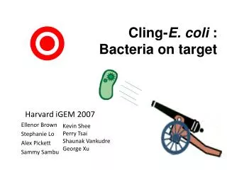 Cling- E. coli : Bacteria on target