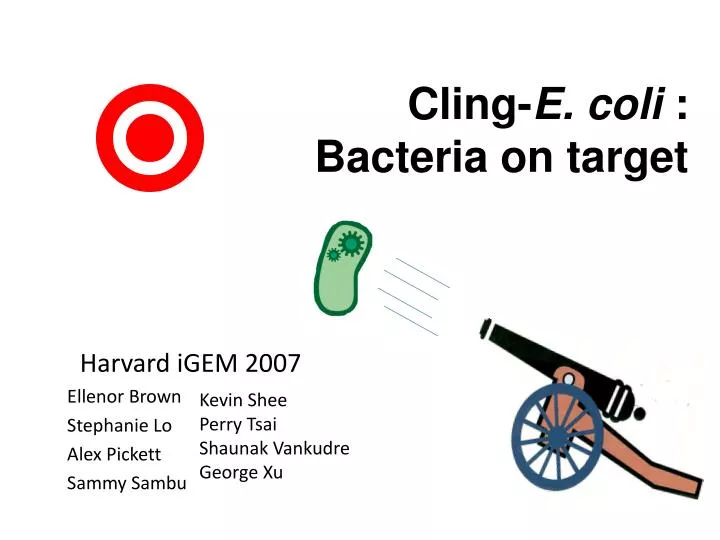 cling e coli bacteria on target