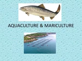 AQUACULTURE &amp; MARICULTURE