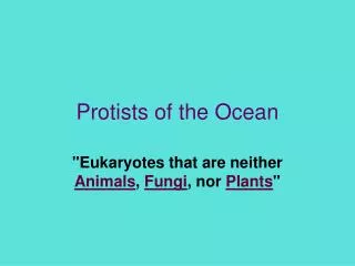 Protists of the Ocean