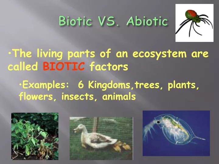biotic vs abiotic