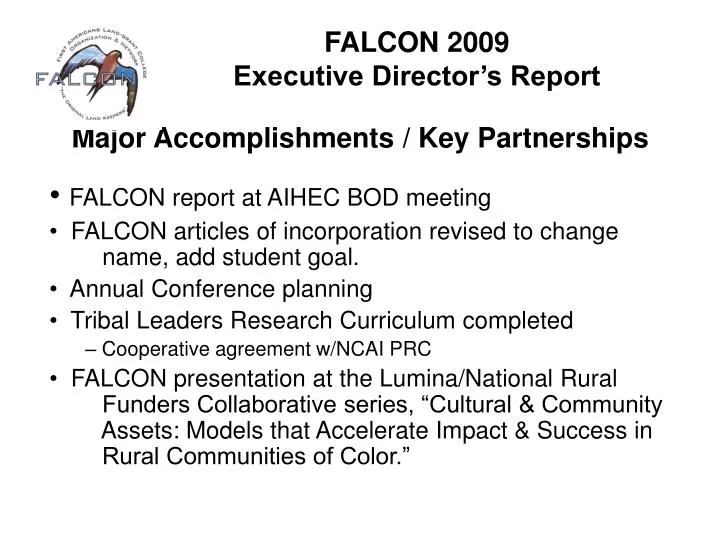 falcon 2009 executive director s report