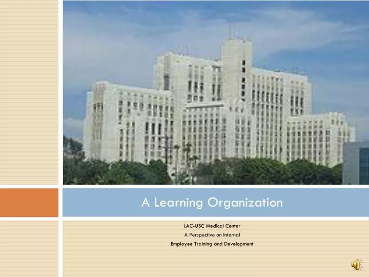 a learning organization