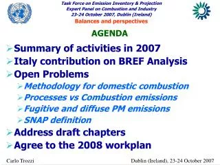 Summary of activities in 2007 Italy contribution on BREF Analysis Open Problems