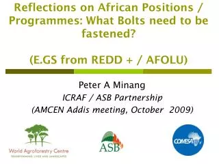 Peter A Minang ICRAF / ASB Partnership (AMCEN Addis meeting, October 2009)