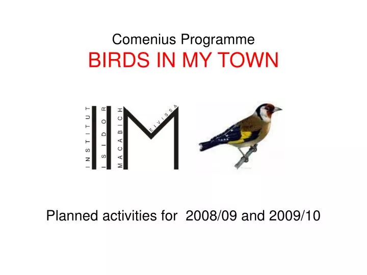 comenius programme birds in my town