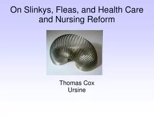 On Slinkys, Fleas, and Health Care and Nursing Reform