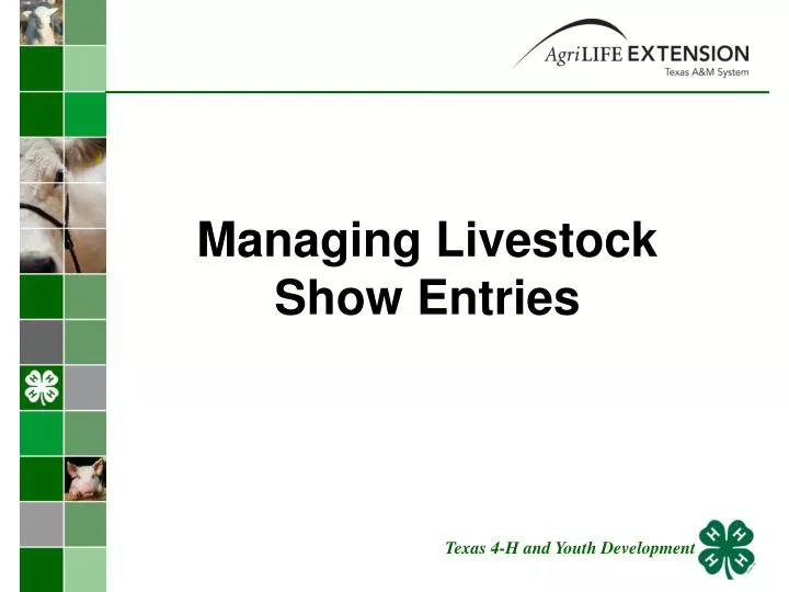 managing livestock show entries