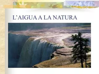 l aigua a la natura