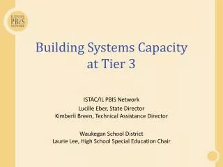 Building Systems Capacity at Tier 3