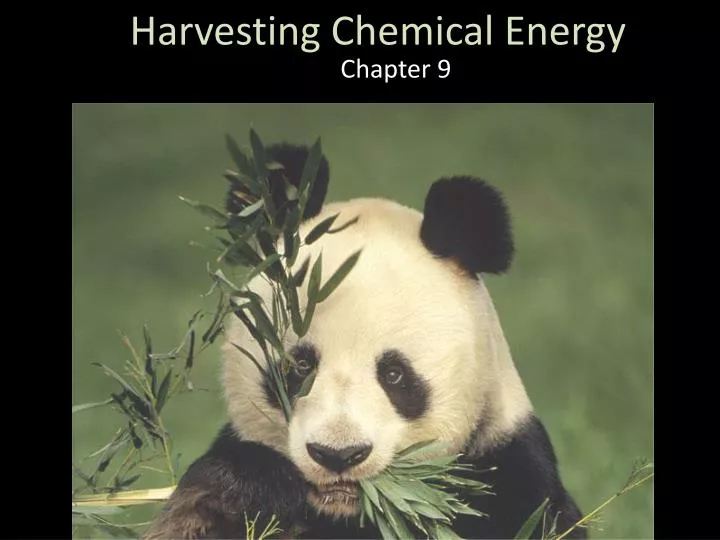 harvesting chemical energy