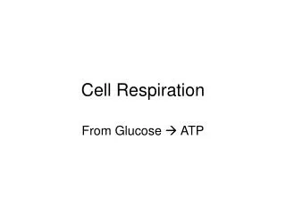 Cell Respiration