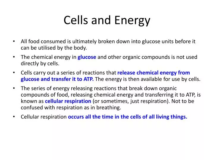 cells and energy