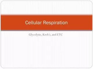 Cellular Respiration