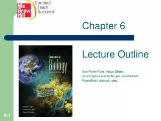 Chapter 6 Lecture Outline See PowerPoint Image Slides for all figures and tables pre-inserted into