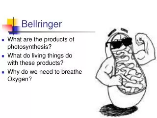 Bellringer