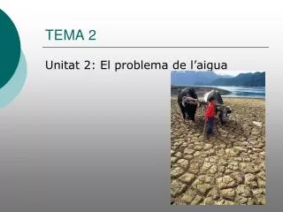 tema 2