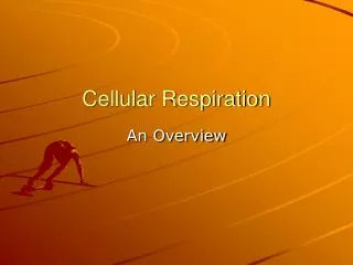 Cellular Respiration