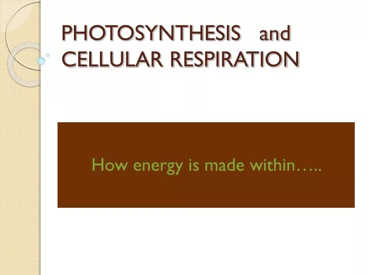 photosynthesis and cellular respiration