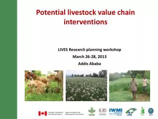Potential livestock value chain interventions