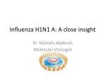 Influenza H1N1 A: A close insight - slide 1