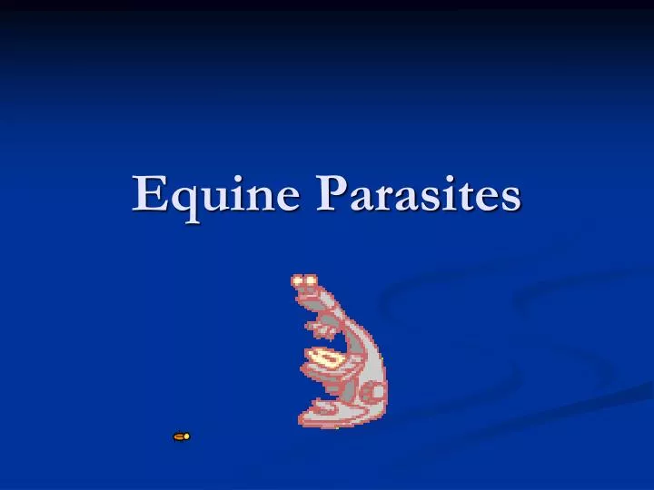 equine parasites
