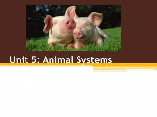 Unit 5: Animal Systems