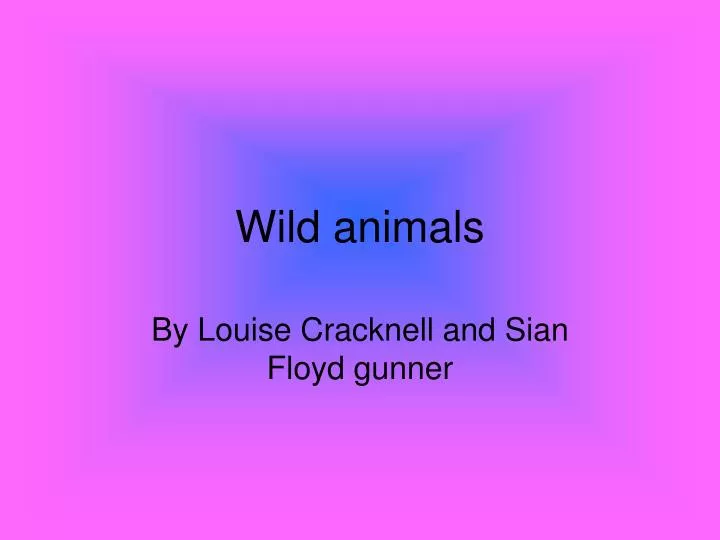 wild animals