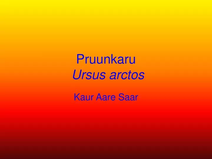 pruunkaru ursus arctos