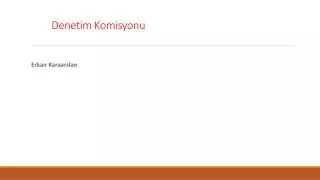 denetim komisyonu