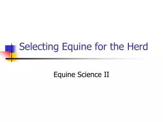 Selecting Equine for the Herd