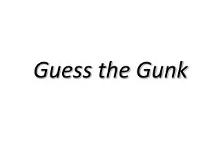 Guess the Gunk