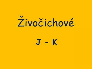ivo ichov