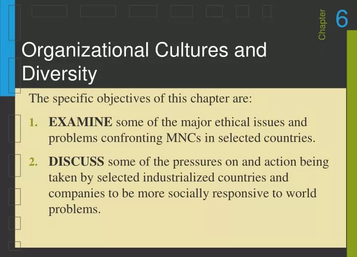 organizational cultures and diversity