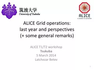 ALICE Grid operations: last year and perspectives (+ some general remarks)
