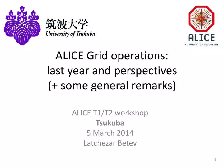 alice grid operations last year and perspectives some general remarks