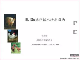 elisa