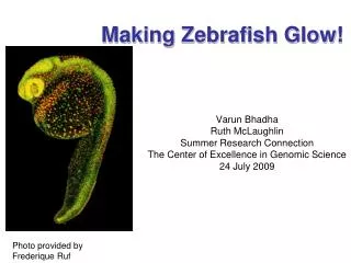 Making Zebrafish Glow!