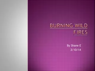 Burning Wild F ires