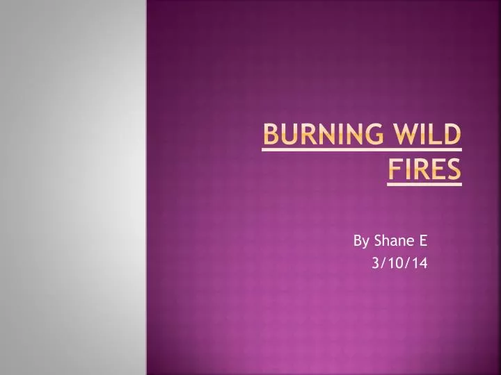 burning wild f ires