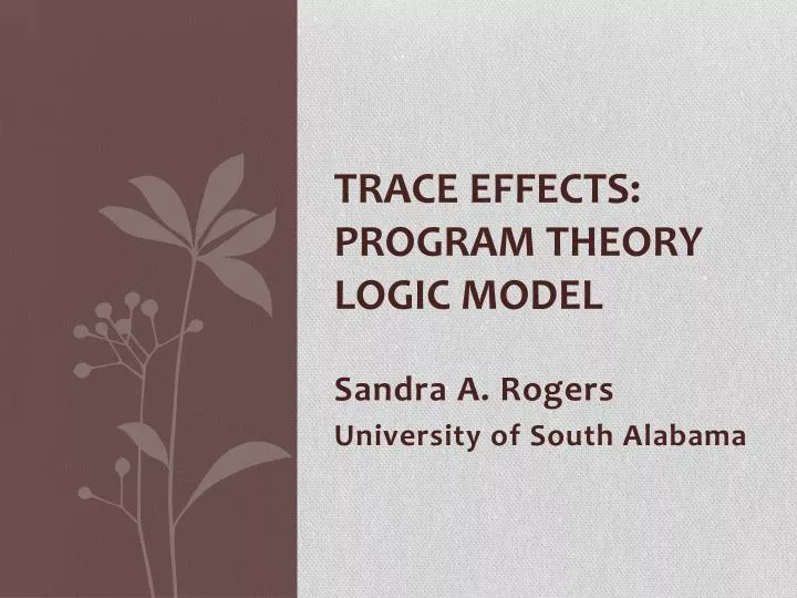 trace effects program theory logic model